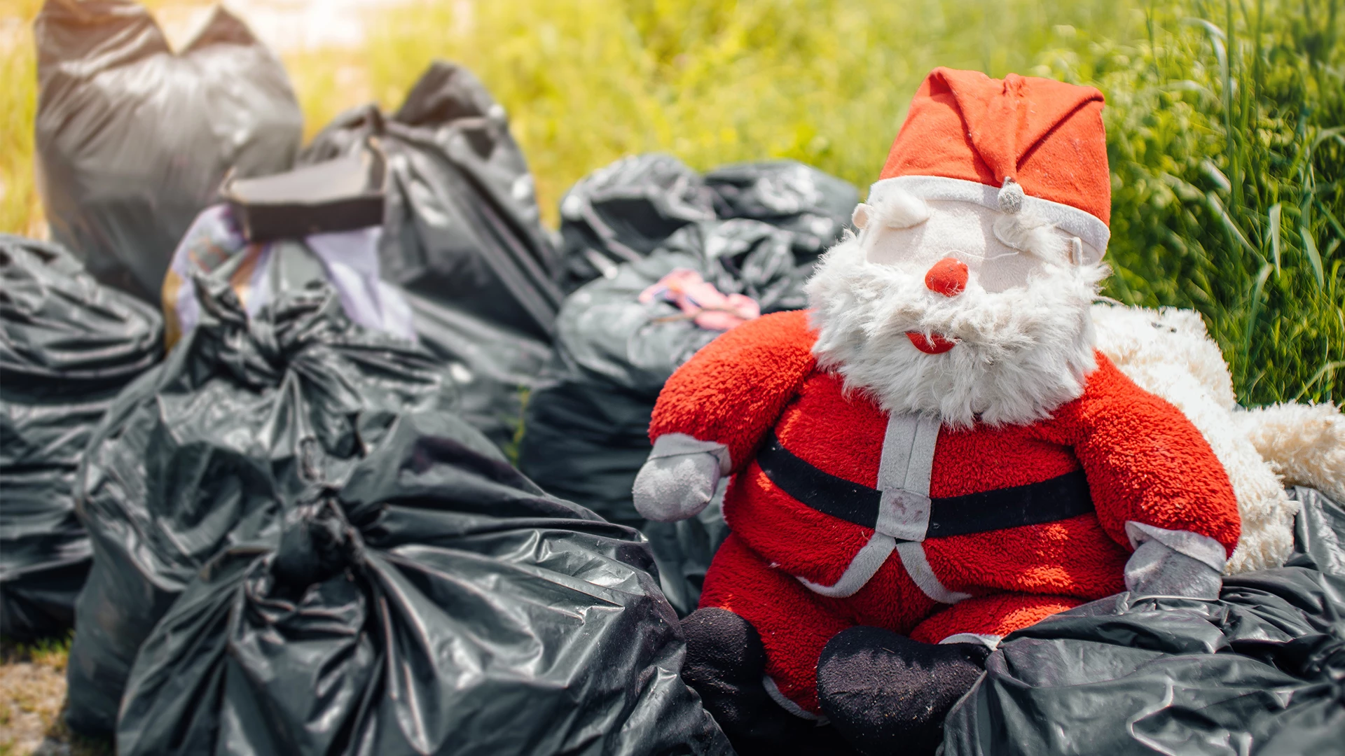 How best to cut down on holiday waste this thanksgiving: