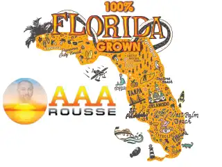 Furniture removal Trinity Florida