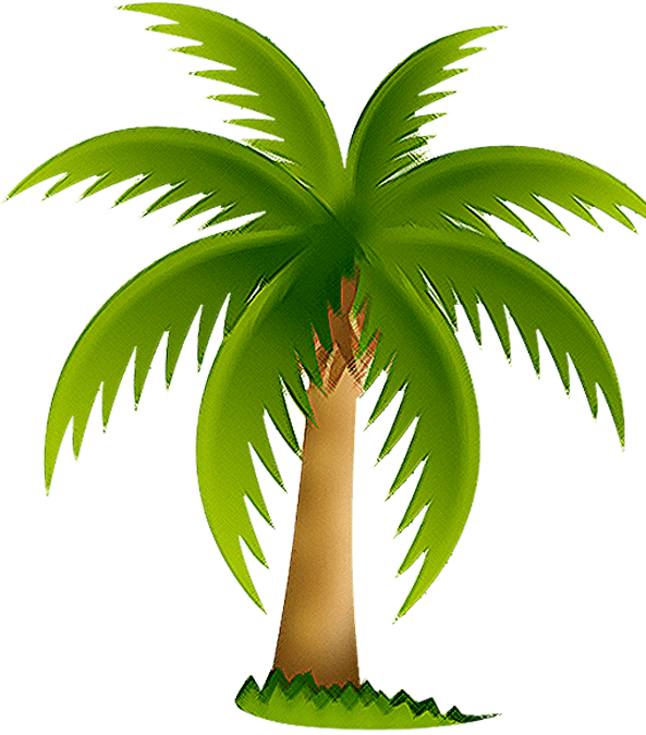 Just Palm Tree