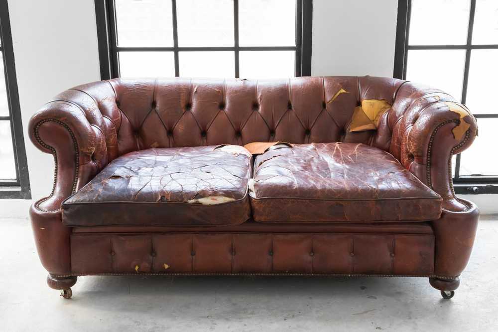 Couch Removal FL