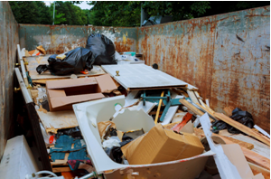 Hire A Professional Junk Removal Company