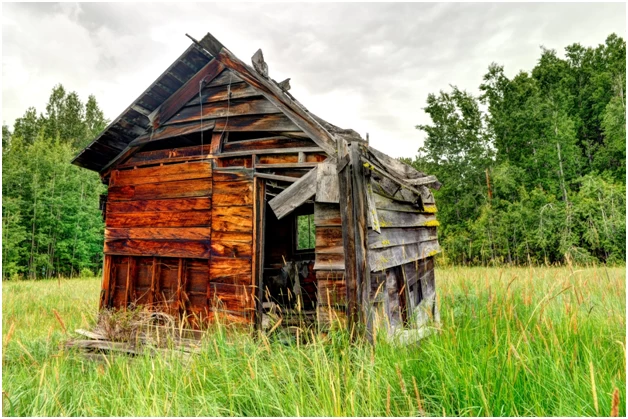 Furniture Removal Shed Removal & Hauling Services FL