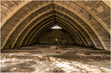Why Choose AAA Rousse For Your Attic Cleanout