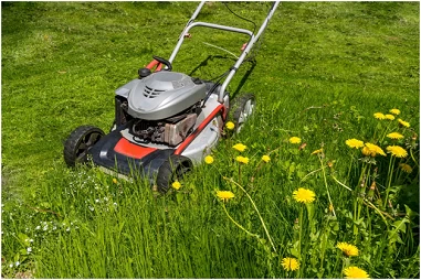 Lawn Mower Removal Services
