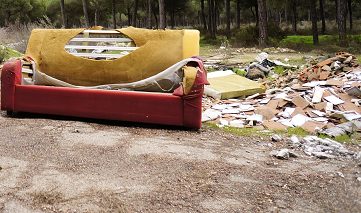 Junk Removal