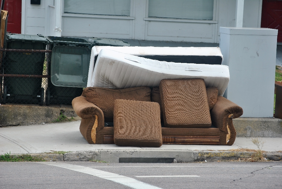 DIY Furniture Disposal in Palm Harbor