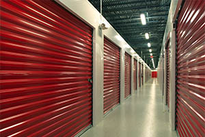Storage Unit Lien Stoppage Options in Lithia and Beyond