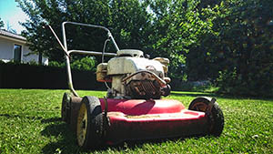 Yard Machine Disposal Options in Chipley