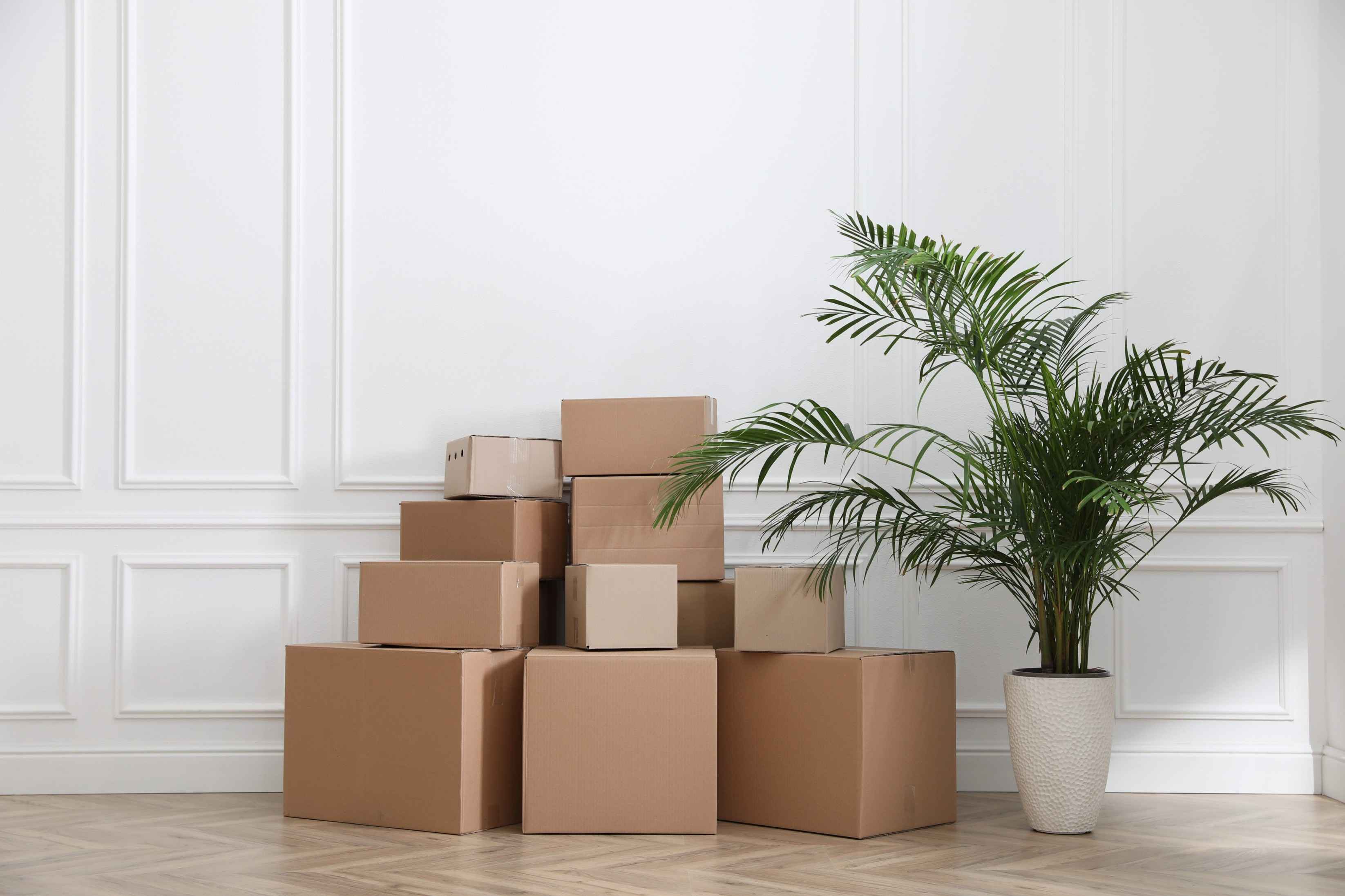 Top Punta Gorda Moving Tips