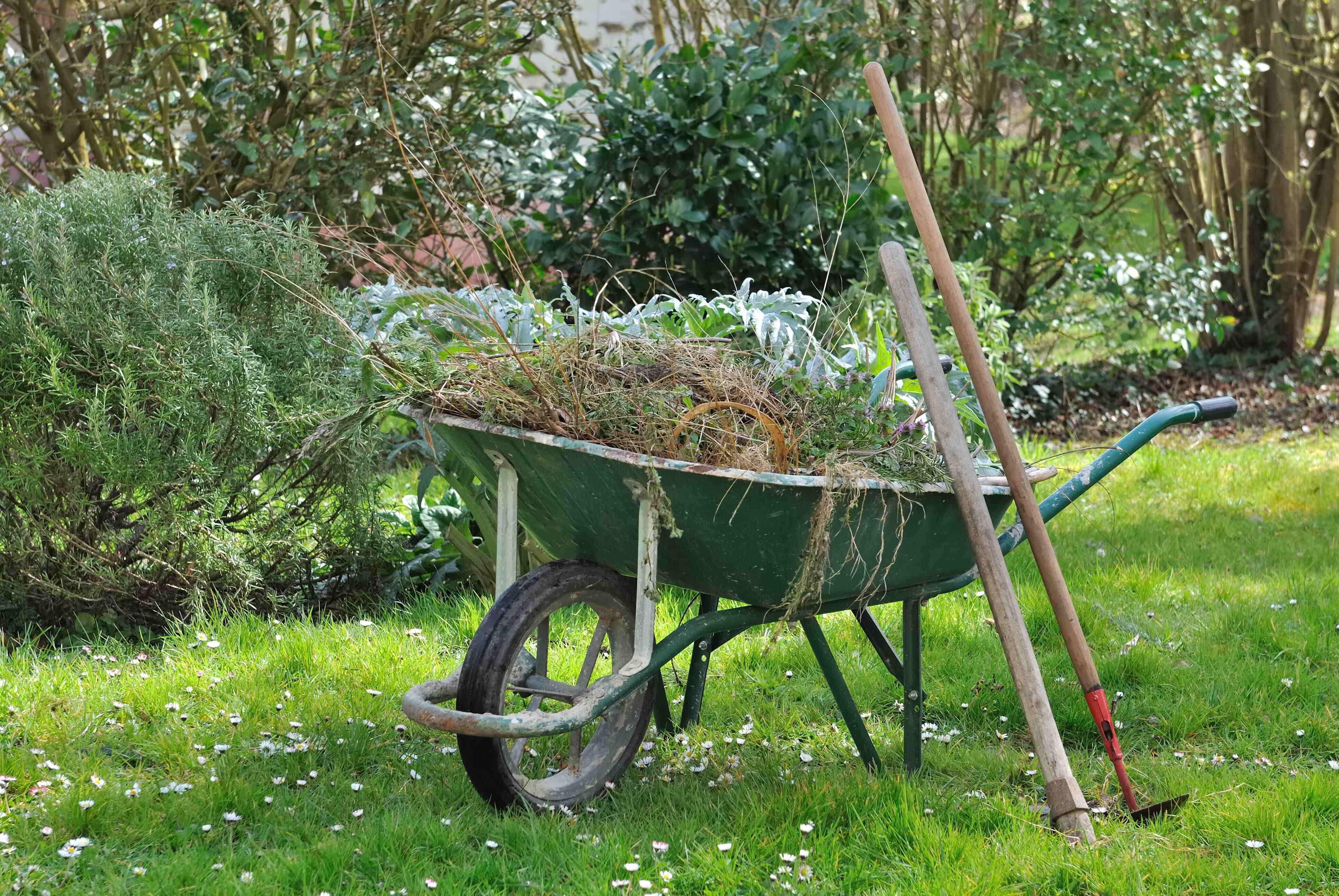 Oldsmar Yard Waste Disposal