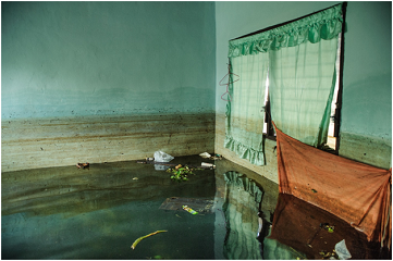 Cleaning up After a Flood