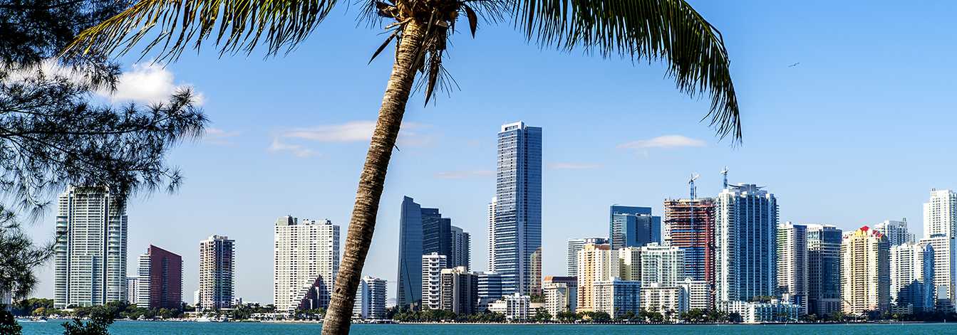 Miami Junk Removal Miami Junk Removal