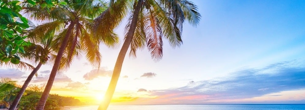 Ocean Ridge Junk Removal