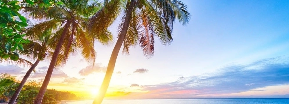 Ocean Ridge Junk Removal Ocean Ridge Junk Removal