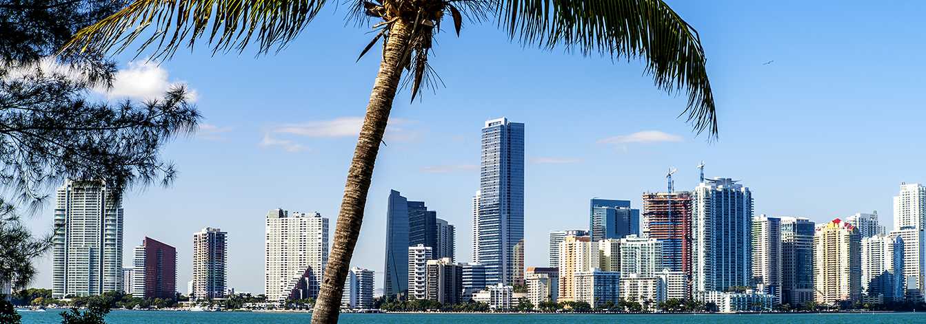 Miami Shores Junk Removal