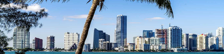 Key Biscayne Junk Removal Key Biscayne Junk Removal