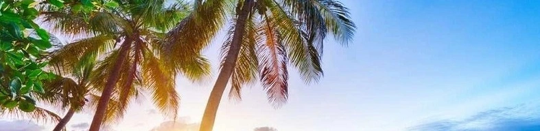 Palm Beach Shores Junk Removal Palm Beach Shores Junk Removal